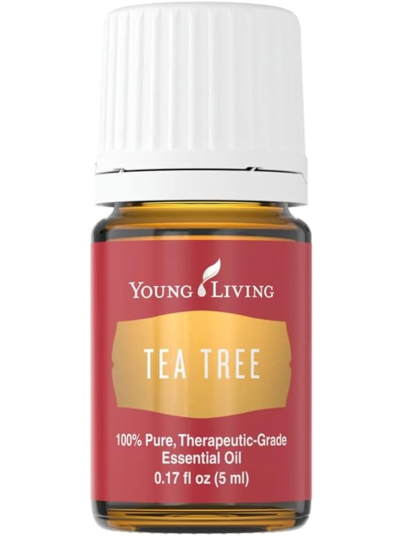 Young Living Tea Tree (Melaleuca Alternifolia) Essential 5ml Oil by Young Living Essential Oils - Image 1