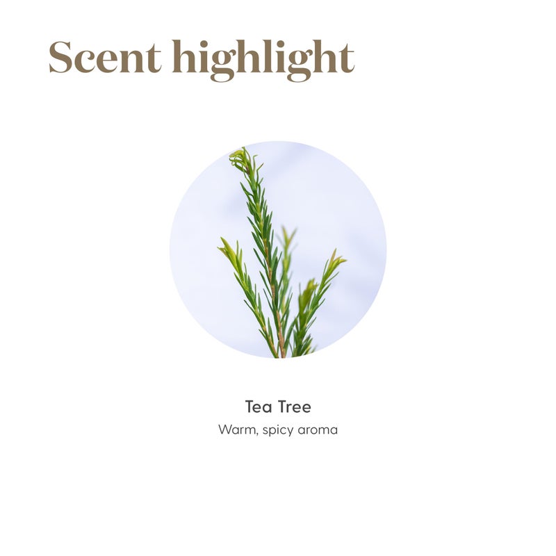 Young Living Tea Tree (Melaleuca Alternifolia) Essential 5ml Oil by Young Living Essential Oils - Image 5