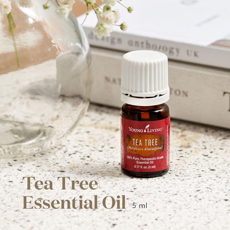 Young Living Tea Tree (Melaleuca Alternifolia) Essential 5ml Oil by Young Living Essential Oils - Image 2