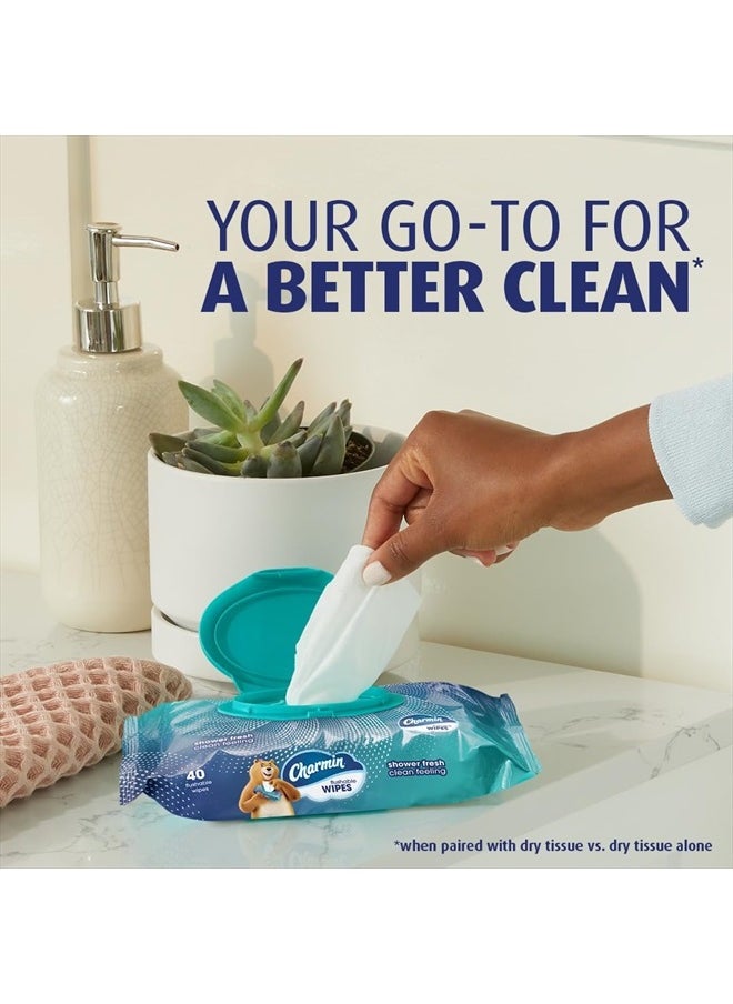 Charmin Flushable Wipes, , 40 Wipes (Pack of 4), 160 Total Wipes  - Image 2