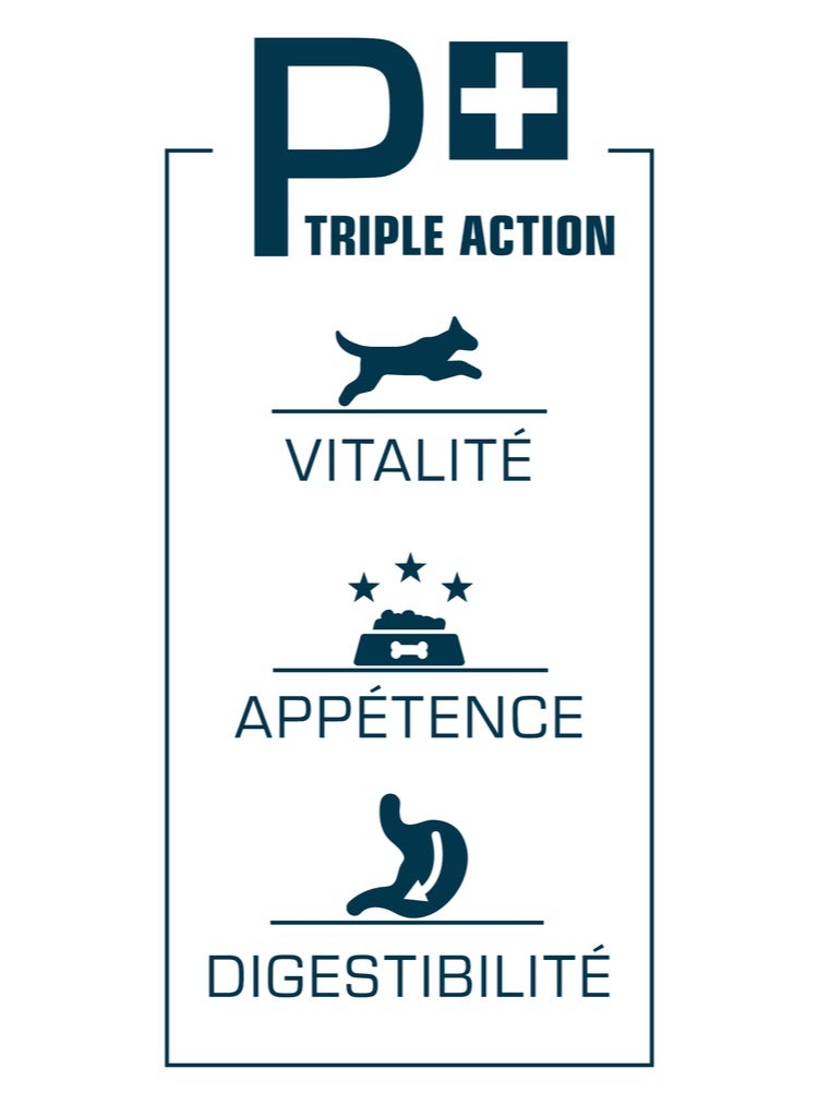 برو نيوتريشن بريستيج طعام للكلاب البالغة – لجميع الأحجام – إكسيجان (لصحة الهضم) ٣ كجم - Image 4