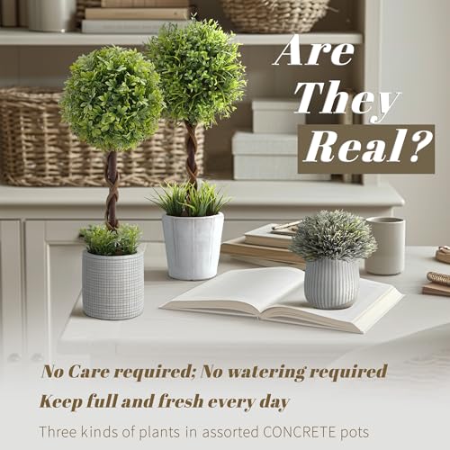 PENGYEE 3 Pack Small Fake Plants 14.57 Inch, Small Artificial Boxwood Topiary in Cement Planter, Artificial Plants Indoor/Outdoor for Home Bathroom Bedroom Kitchen Office Room Decor - Image 2