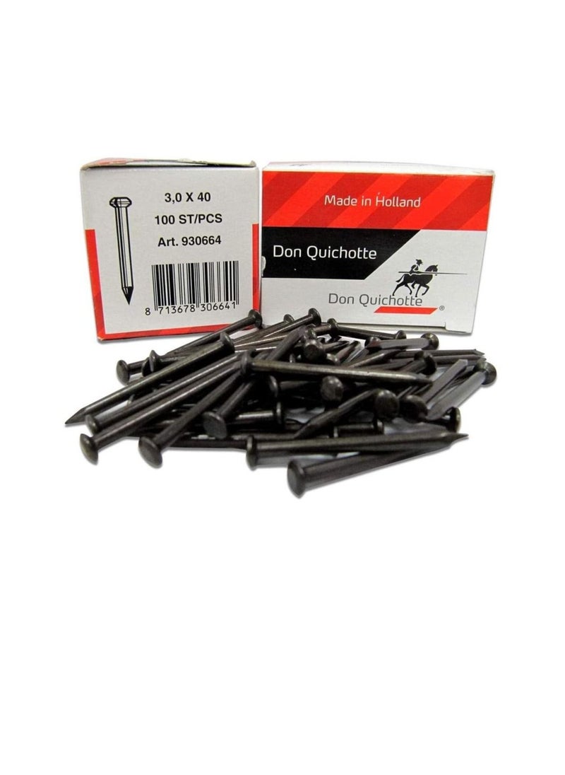 Don Quichotte Steel Nails 40mm - pzsku/Z8D7D684323E85FB77CC2Z/45/_/1668077544/170c6771-90e1-42f2-bc1b-797700ed3912