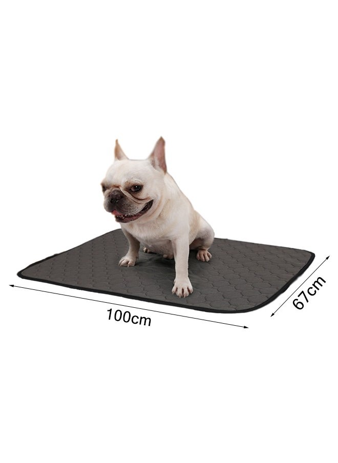 Neostyle Neostyle Reusable Washable Dog Pee Pad Grey  - Image 2
