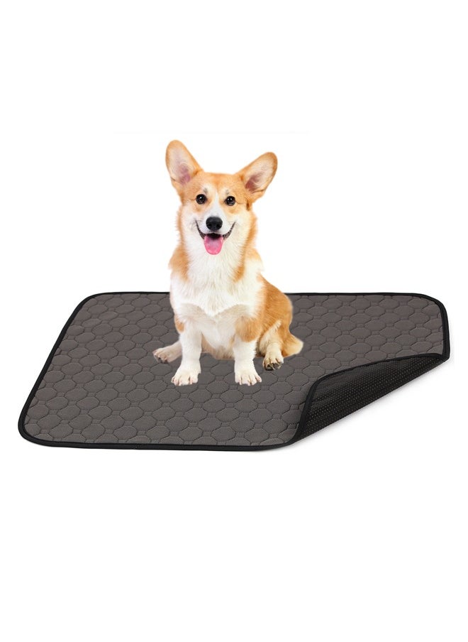 Neostyle Neostyle Reusable Washable Dog Pee Pad Grey  - Image 1