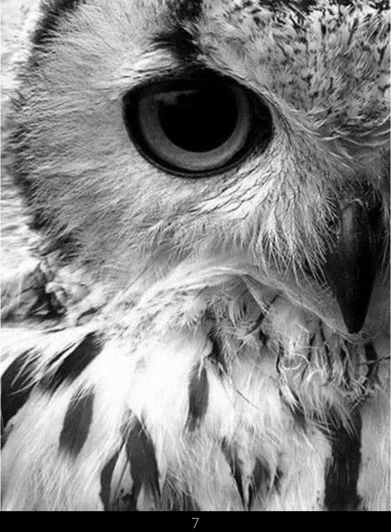 STRATEG DIY 5D Round Diamond Painting Craft Kits Multicolor - Image 1