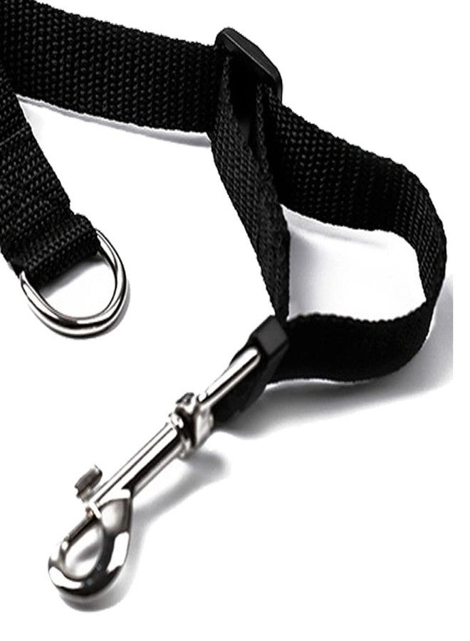 Drema Black Durable Nylon Dog Training Leash,Dog/Puppy Obedience Recall Training Agility Lead-10 ft 20 ft, Training Leash, Play, Safety, Camping,or Backyard (10ft) - Image 4