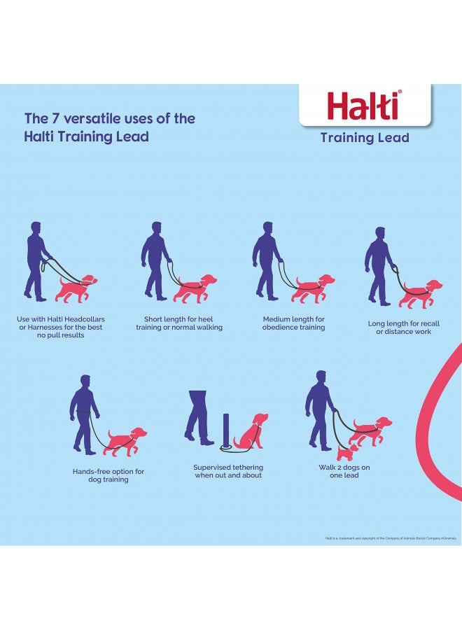 The Company of Animals Halti Training Lead For Dogs, Double Ended Dog Training Leash for Halti Head Collar and No Pull Harness, Black Training Leash for Medium Dogs and Large Dogs - Image 2