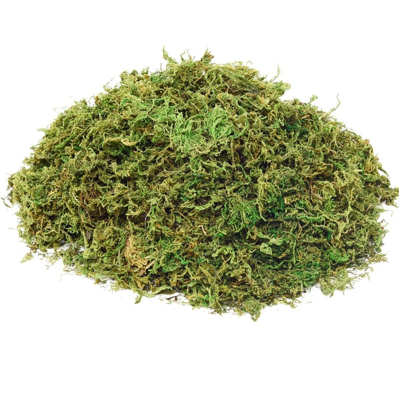 Fake Moss Artificial Moss for Potted Plants Greenery Moss4OZ Home Decor Fairy Garden Crafts Wedding Decoration Fresh Green
