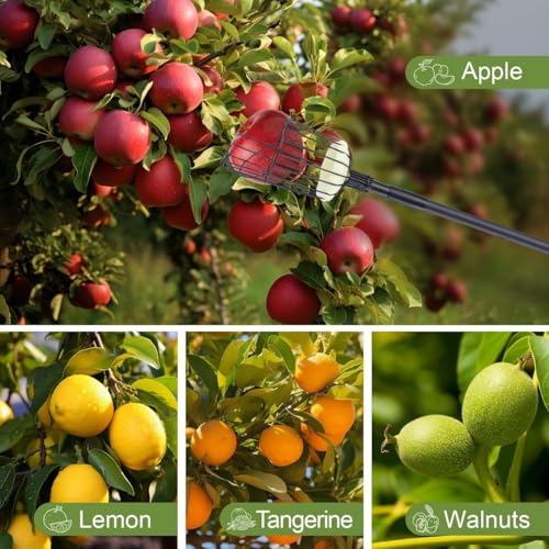ecofynd Fruit Picker Tool with Adjustable Pole Fixing Clamp, Metal Gardening Easy and Safe Fruit Picking from Trees, Lightweight & Durable Basket Design for Outdoor Garden/Farm (Black) - Image 5