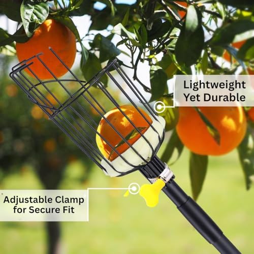 ecofynd Fruit Picker Tool with Adjustable Pole Fixing Clamp, Metal Gardening Easy and Safe Fruit Picking from Trees, Lightweight & Durable Basket Design for Outdoor Garden/Farm (Black) - Image 4