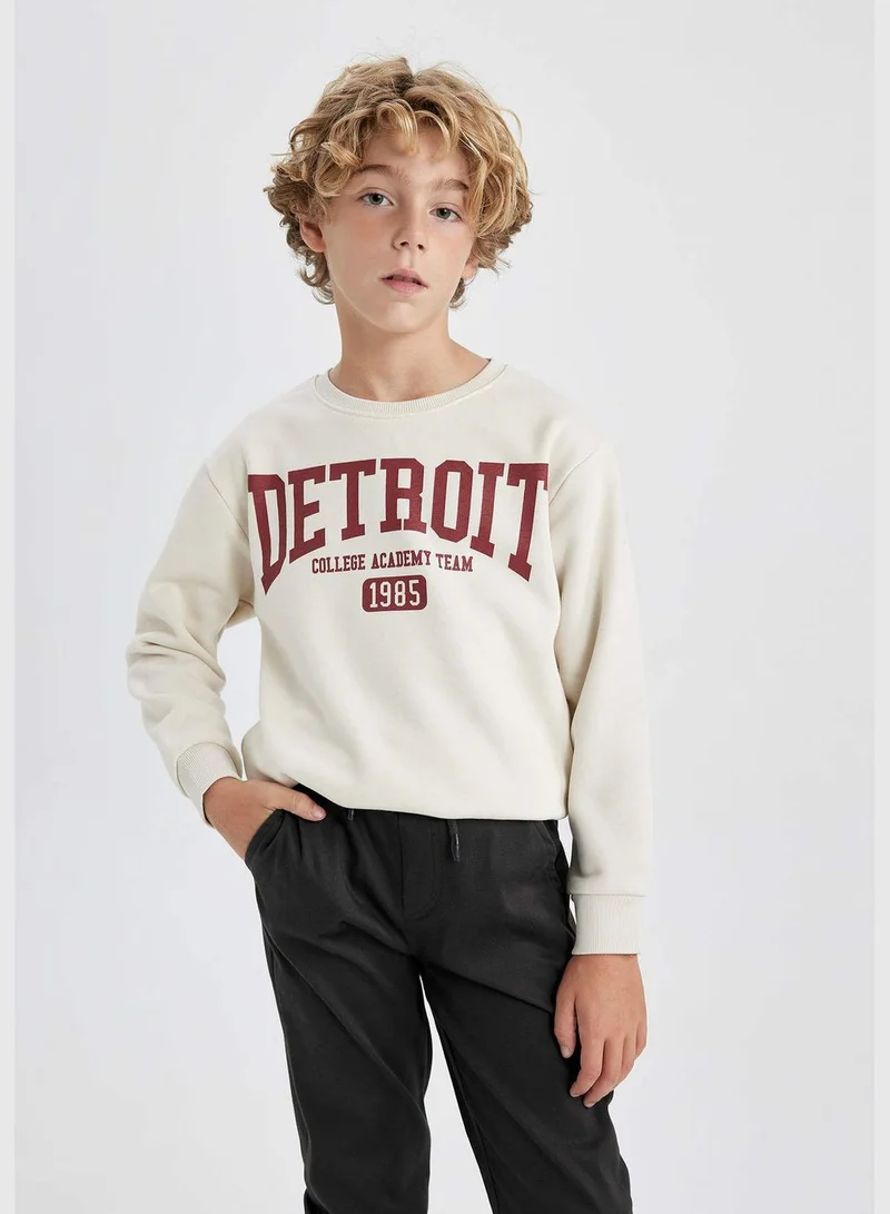 DeFacto Boy Crew Neck Long Sleeve Knitted Sweatshirt