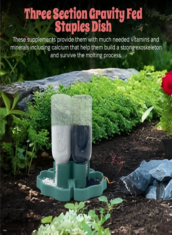 Snout and Shell Hermit Crab Gravity Feeder - 3 Well feeders - Green for Greensand, Oyster Shell Flour and Worm castings by Snout and Shell - Image 4