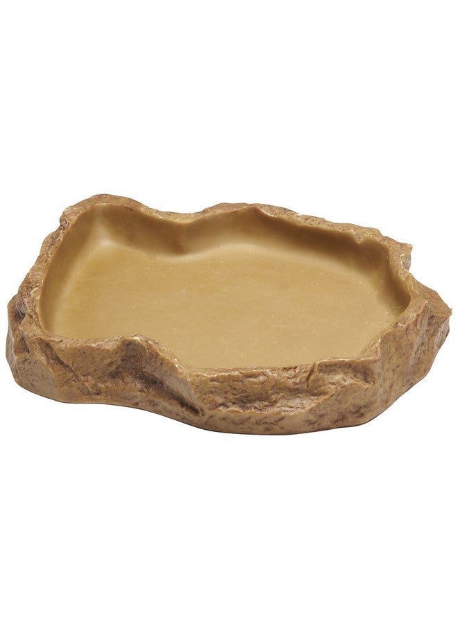 إكسو تيرا طبق تغذية إكسو تيرا، كبير - Image 4