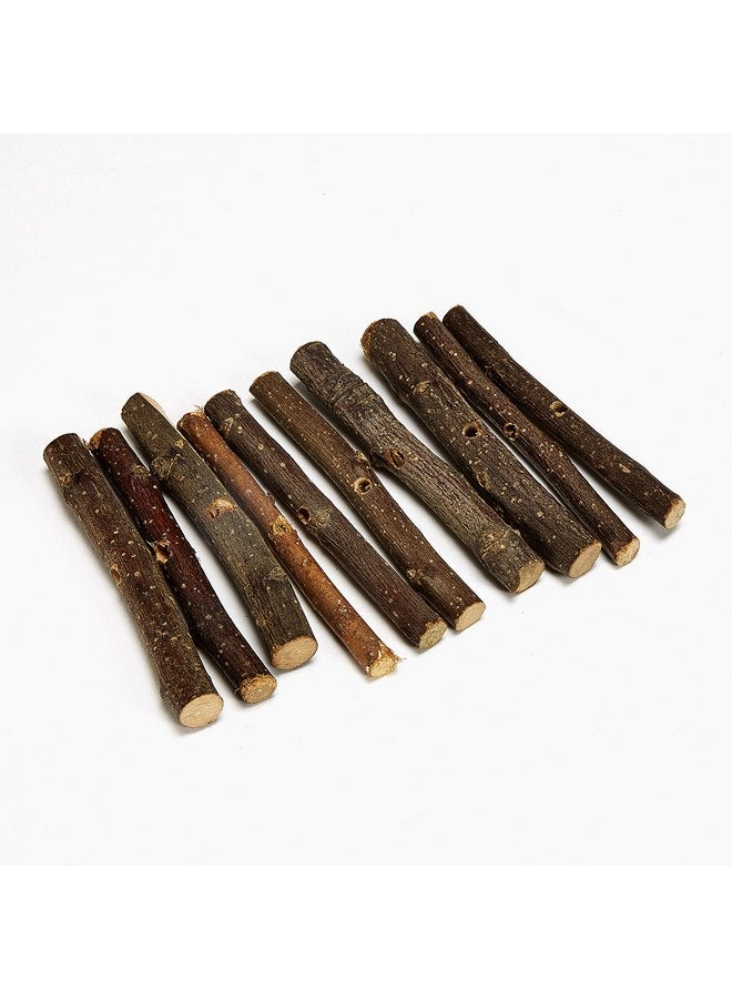 كايتي أعواد بستان التفاح من كايتي للأرانب وخنازير غينيا والهامستر أو غيرها من الحيوانات الصغيرة، 10 قطع - Image 2