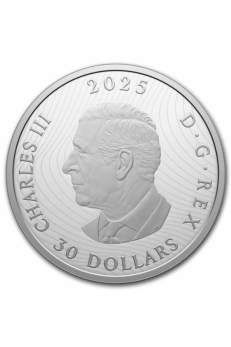 Royal Canadian كندا سحر الأضواء الشمالية الكندية ليرة فضة 2 اونصة  - Image 2