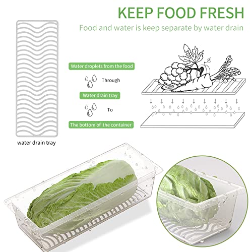 SILIVO Produce Saver Containers for Refrigerator (6 Pack) - 1.5L Fruit Storage Containers for Fridge, Vegetable Storage Containers with Drain Tray Keep Fresh for Veggie, Fruit, Lettuce and Salad - Image 2