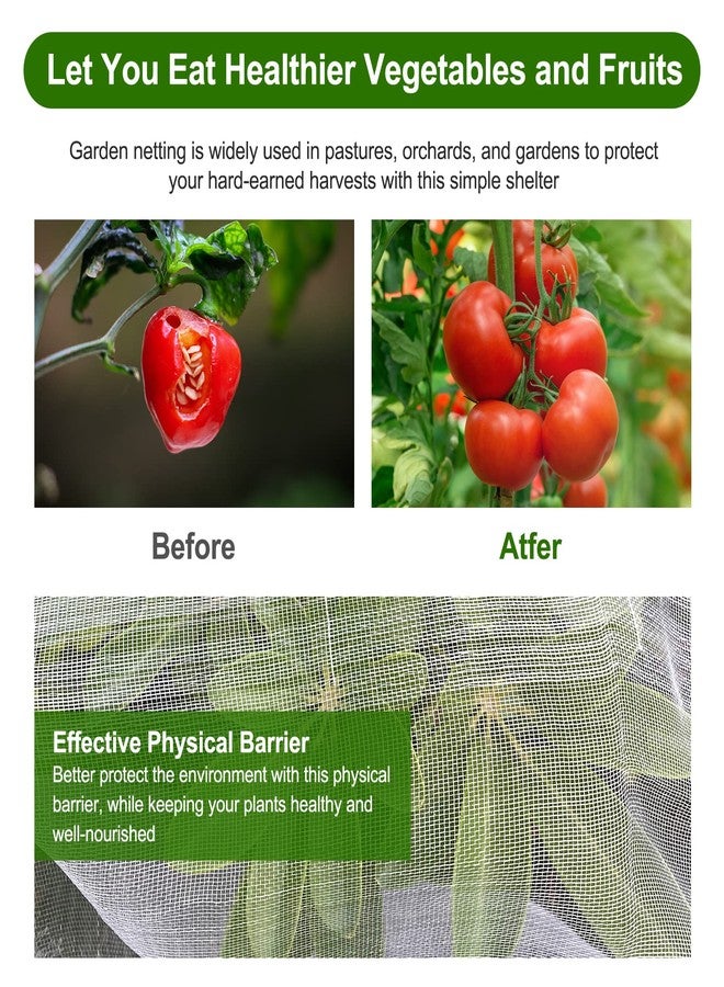 Jevrench Garden Netting, Durable Ultra Fine Garden Netting, Garden Plant Cover Row Cover Makes Plants, Vegetables, Fruits, and Flowers Grow Better (4ft x 10ft) - Image 3