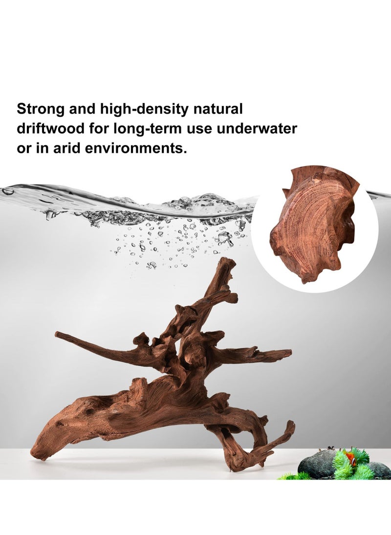 Y&D Natural Coral Driftwood for Aquarium Decor Fish Tank Decorations, Assorted Branch 15-20cm 3 Pcs, Reptile  - Image 3