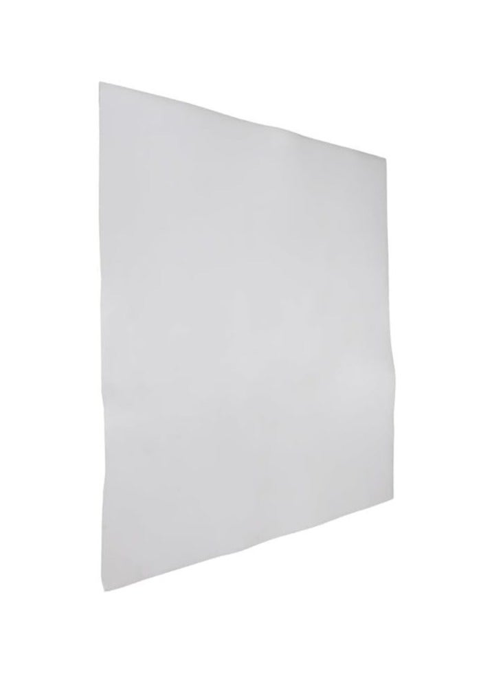 Generic SEAL MASTER PTFE SHEET 1 M X 1 M X 1 Mm WHITE  - Image 2