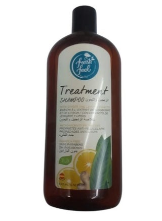 Fresh Feel therapeutic shampoo 400 ml with ginger and lemon - pzsku/Z8D8EADD0D819C7625A0DZ/45/_/1712288934/7f7038c8-9169-4a79-80d4-e2cb4a57e1cc