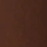 American Eagle AE Single-Prong Leather Belt