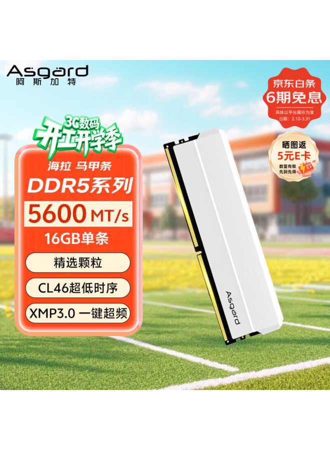Asgard 16gb Ddr5 5600 Desktop Ram Hela Heat Spreader Selected Chips Cl46 Arctic White