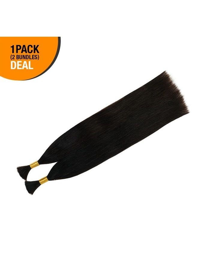 GLAM21USA - Starlet Micro Braiding Hair Human Bulk Hair Straight 20 Inch 100g (1Pack-2Bundles) Virgin Human Braiding Hair for Micro Braids Hair No Weft Human Hair Braids Extension (20 Inch (Pack of 1), Straight(N - Image 1