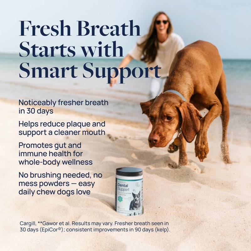 Veterinary Formula Dental Health Supplement for Dogs â€“ Vet-Formulated Chews with EpiCorÂ® & Kelp â€“ Smart Vitality Supports Plaque, Tartar, Breath & Oral Health, 60 Soft Chews - Image 2