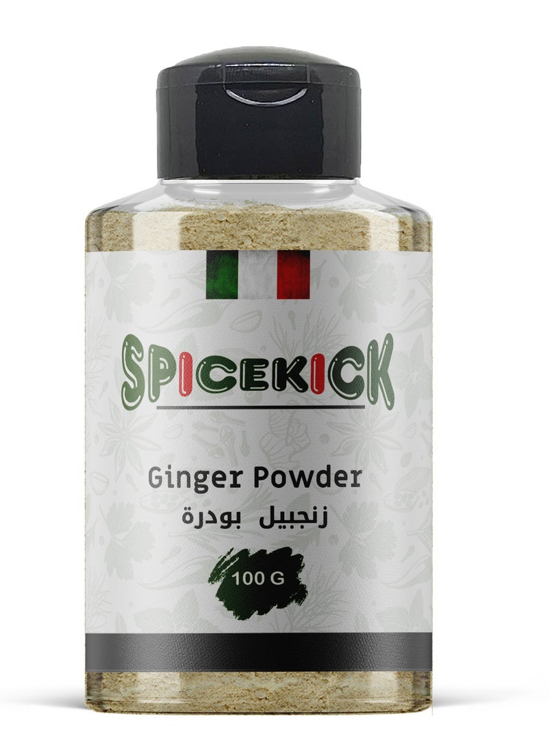 سبايسكيك - زنجبيل بودر 100 جرام من - Image 1