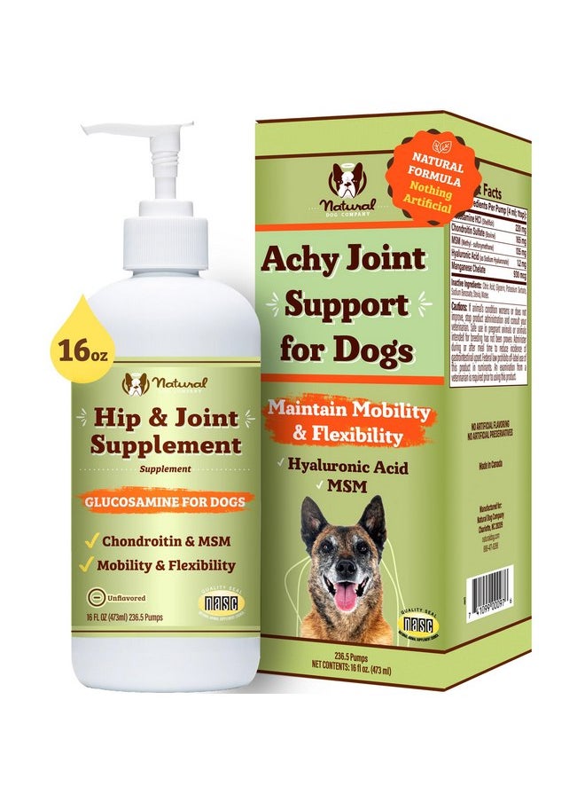 Natural Dog Company - Natural Dog Company Liquid Glucosamine Hip & Joint Oil for Dogs, 16 oz, Extra Strength Cartilage & Joint Support, Helps Mobility and Eases Occasional Stiffness, Dog Vitamins & Supplements - Image 1