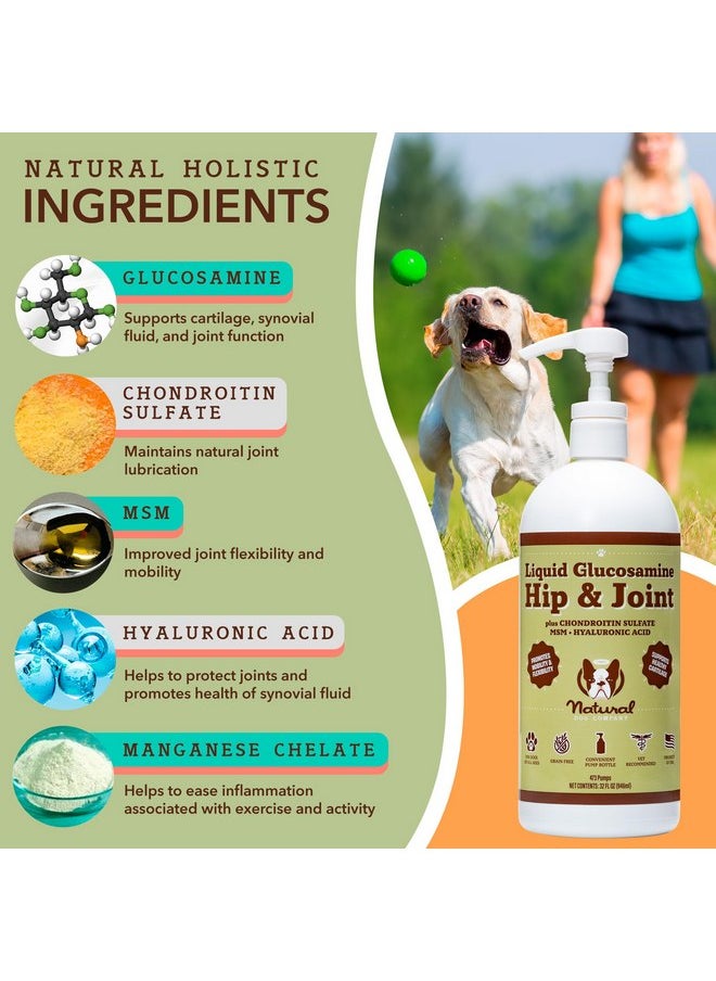 Natural Dog Company - Natural Dog Company Liquid Glucosamine Hip & Joint Oil for Dogs, 16 oz, Extra Strength Cartilage & Joint Support, Helps Mobility and Eases Occasional Stiffness, Dog Vitamins & Supplements - Image 1
