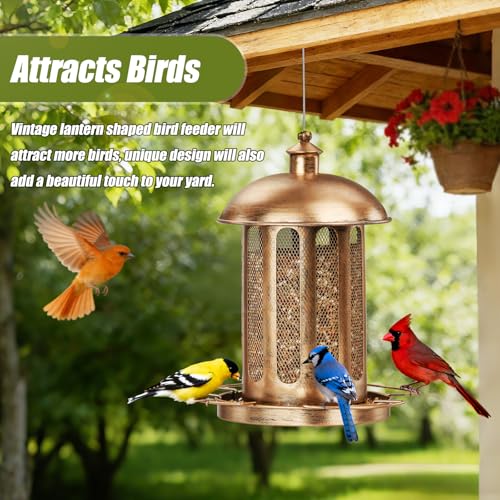 IWNTWY Bird Feeder, Large Capacity Bird Feeders for Outdoor Hanging, Heavy Duty Metal Wild Birdfeeder for Outside Garden Yard Decor, Retro Lantern Shape - Image 5