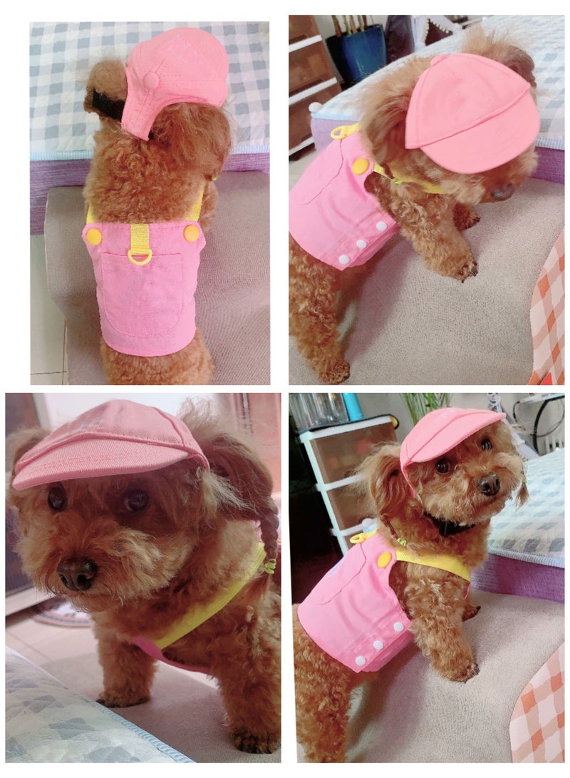 A.M Dog Harness Vest with Leash Set, Colorful Puppy Harness Breathable Cat Vest Harness Cute Doggy Clothes for Outdoor Walking Clothing for Small Dog Cat - Image 4