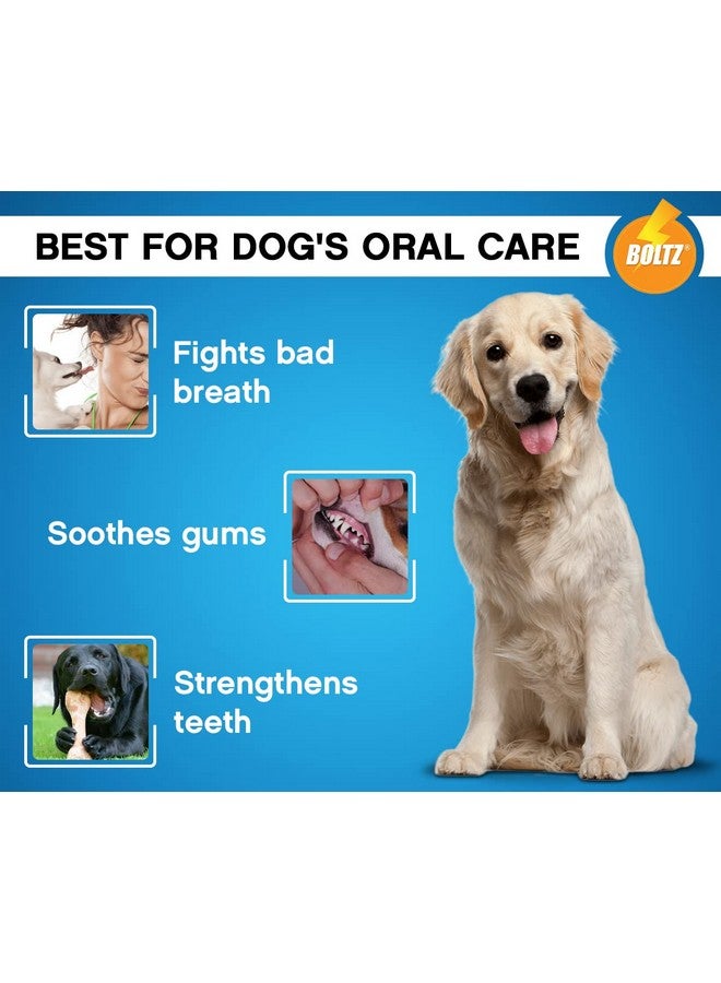 Boltze معجون أسنان إنزيمي للكلاب (100 جرام) للعناية بالفم وصحة الفم، نفس منعش، مزيل للبلاك، مناسب لجميع الأعمار للكلاب والجراء، تنظيف الأسنان، بنكهة النعناع (معجون أسنان) - Image 2