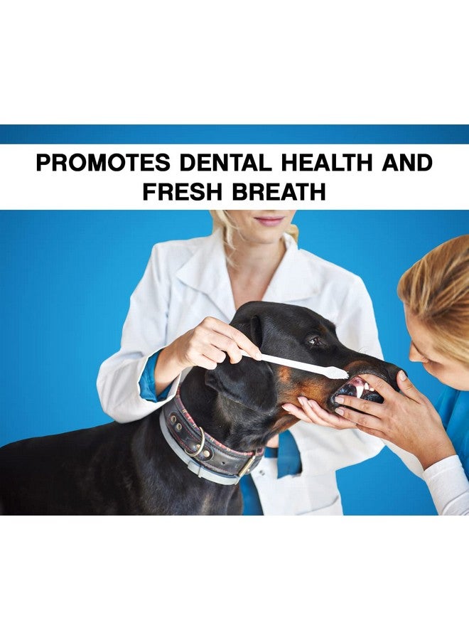 Boltze معجون أسنان إنزيمي للكلاب (100 جرام) للعناية بالفم وصحة الفم، نفس منعش، مزيل للبلاك، مناسب لجميع الأعمار للكلاب والجراء، تنظيف الأسنان، بنكهة النعناع (معجون أسنان) - Image 5