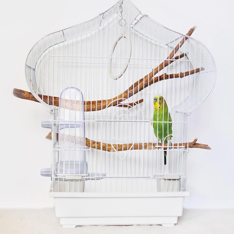FOMIYES 2pcs Bird Feeder Automatic Bird Water Dispenser for Cage Clear Bird Drinker Bottle Food Dispenser for Parrot Budgie Lovebirds Cockatiel - Image 4