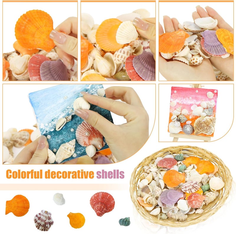 Weoxpr Mixed Sea Shells, 100+ Pcs Beach Seashells Starfish, Various Sizes Ocean Seashells for Fish Tank Vase Fillers, Beach Theme Party Wedding Decor, Candle Making, DIY Crafts - Image 2