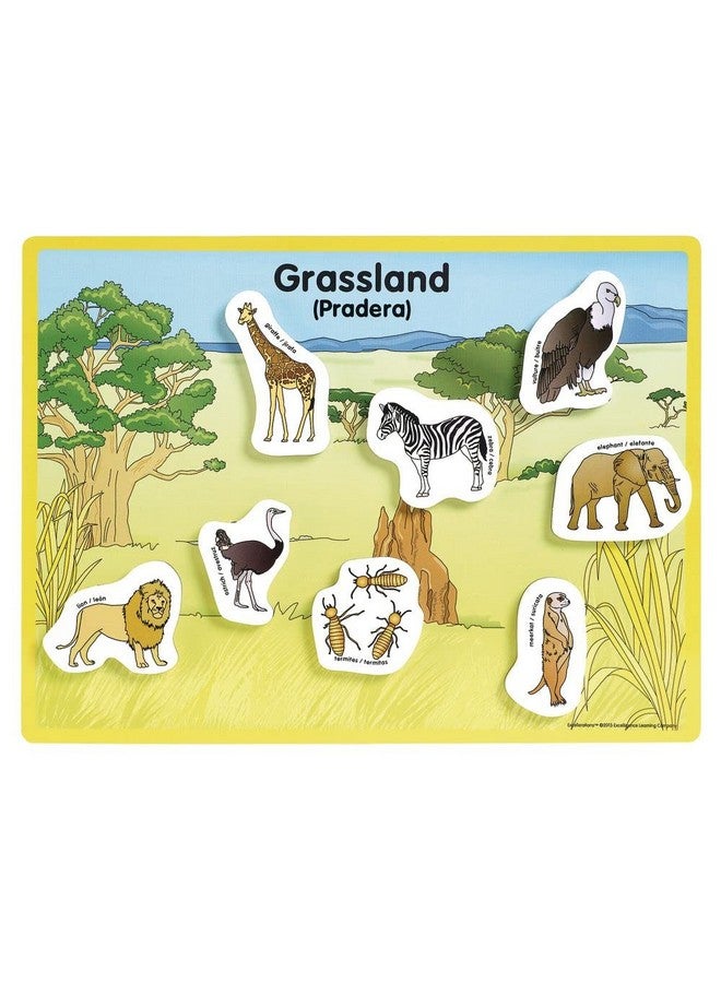 Excellerations Animals in Their Habitats 6 Puzzle Boards Learning Activity Tool for Kids (48 Pieces) - Image 3