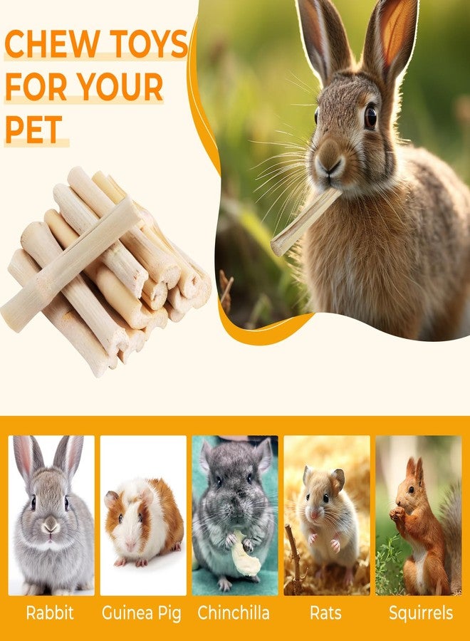 WYOMER 300g Sweet Bamboo Chew Toy Natural Sweet Bamboo Animals Molar Chew Sticks Toys Pet Snacks Bamboo Sticks Treats - Image 2