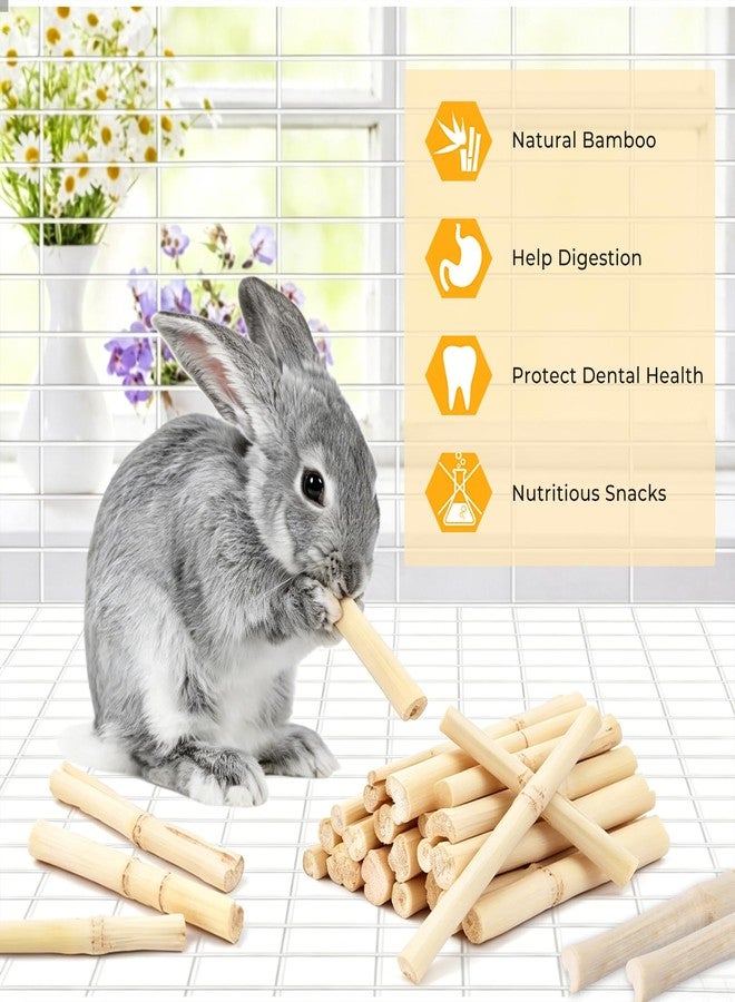 WYOMER 300g Sweet Bamboo Chew Toy Natural Sweet Bamboo Animals Molar Chew Sticks Toys Pet Snacks Bamboo Sticks Treats - Image 4