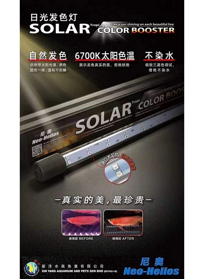 VAYINATO Neo Helios Solar Colour Booster Submersible Led Light For Aquarium Fish Tank | Enhance Fish Colour | High Brighness St 360-36Cm | Suitable For 1.5 Feet Tank  - Image 4