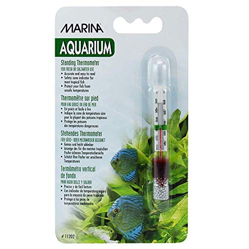 Marina Large Standing Thermometer - Provides Temperature in Fahrenheit and Celsius - Image 2
