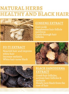 SOUTH MOON Natural Darkening Hair Serum – Restore Natural Color & Repair Gray or White Hair, Scalp Care, and Anti-Hair Loss Treatment  - Image 3
