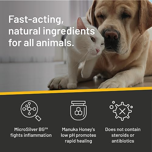 Absorbine Silver Honey Hot Spot & Wound Care Spray Gel 8oz Bottle, Manuka Honey & MicroSilver BG, Medicated for Dogs, Cats, Small Animals - Image 5