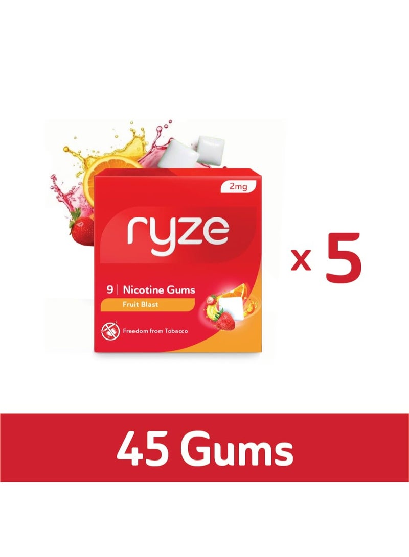 رايز علكة رايز نيكوتين ٢ ملغ | عبوة من ٥ قطع (٤٥ علكة) | بنكهة الفواكه المنعشة | الإقلاع عن التدخين والتبغ | لطيفة على الحلق | معتمدة من إدارة الغذاء والدواء الأمريكية | خالية من السكر | تبييض الأسنان - Image 2
