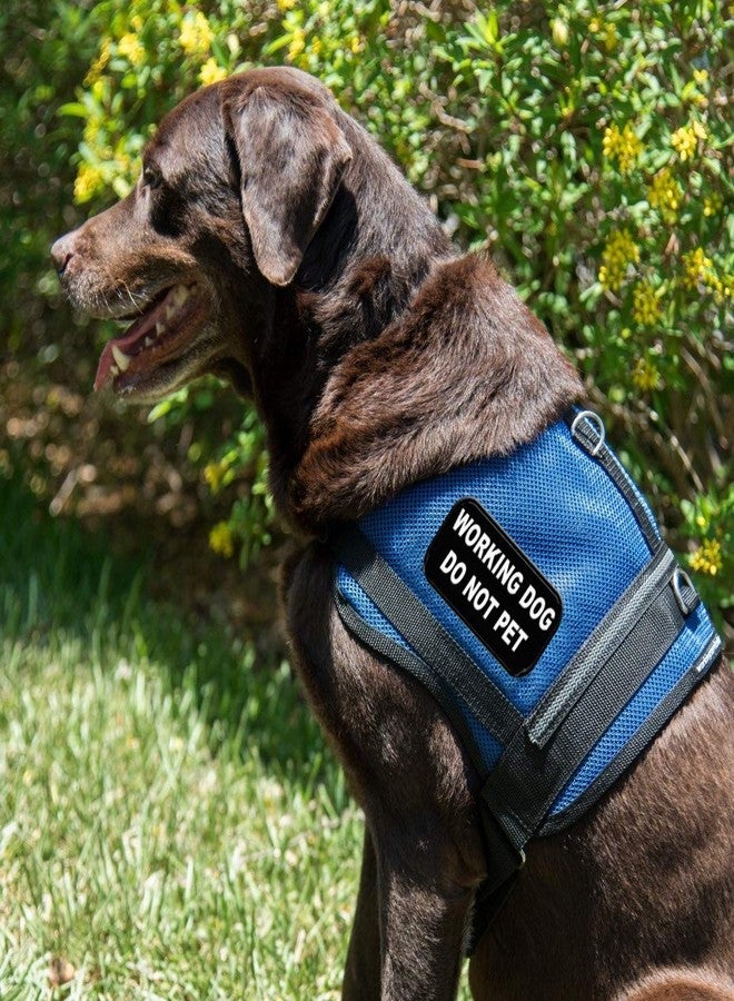WORKINGSERVICEDOG.COM رقعة "ممنوع اللمس" للكلاب العاملة، تُخاط على السترة أو الحزام - Image 5