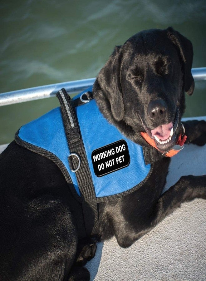 WORKINGSERVICEDOG.COM رقعة "ممنوع اللمس" للكلاب العاملة، تُخاط على السترة أو الحزام - Image 3