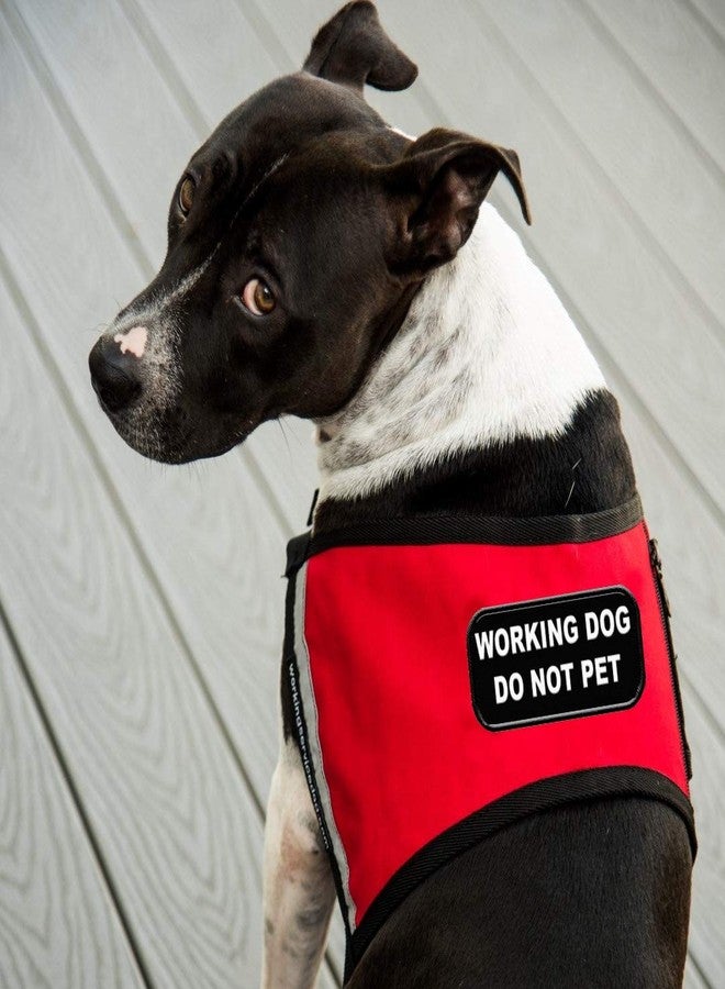 WORKINGSERVICEDOG.COM رقعة "ممنوع اللمس" للكلاب العاملة، تُخاط على السترة أو الحزام - Image 4