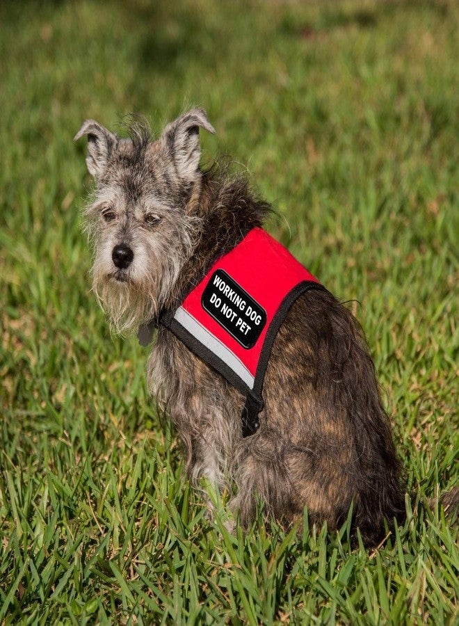 WORKINGSERVICEDOG.COM رقعة "ممنوع اللمس" للكلاب العاملة، تُخاط على السترة أو الحزام - Image 2